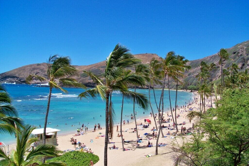 Who Owns Your Timeshare Resort? The Answer May Surprise You who owns your timeshare Beach with mountains in background